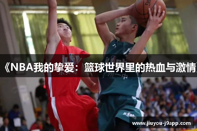 《NBA我的挚爱：篮球世界里的热血与激情》